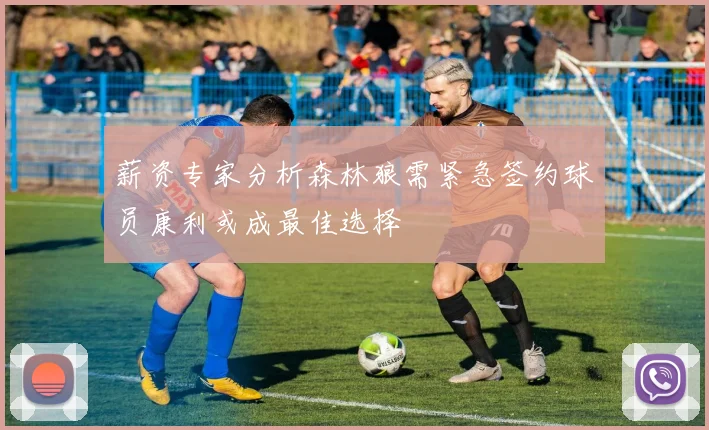 薪资专家分析森林狼需紧急签约球员康利或成最佳选择
