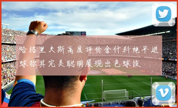 哈格里夫斯高度评价舍什科绝平进球称其完美聪明展现出色球技