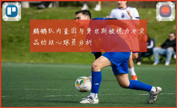 鹈鹕队内奎因与费尔斯被视为非卖品的核心球员分析